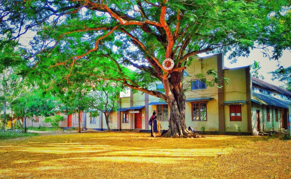 Sree Narayana College, Kollam - Photo 2