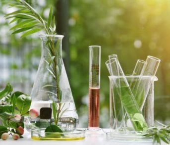 Vimala College (Autonomous), Thrissur - Photo 2